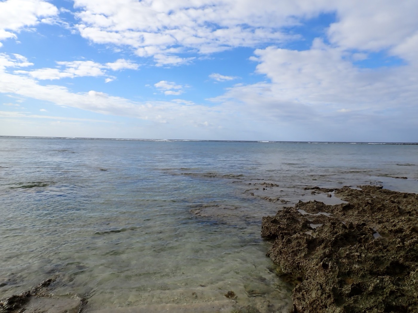 天然水族感で紹介する、青い空と白い雲、穏やかな海と岩礁が広がる海岸の風景。天然水族館への入り口のようだ