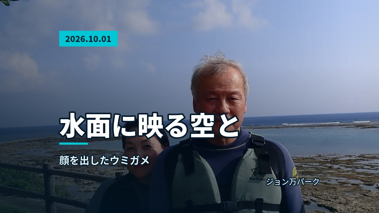 海岸のリーフと青い空を背景に並んで立つ参加者