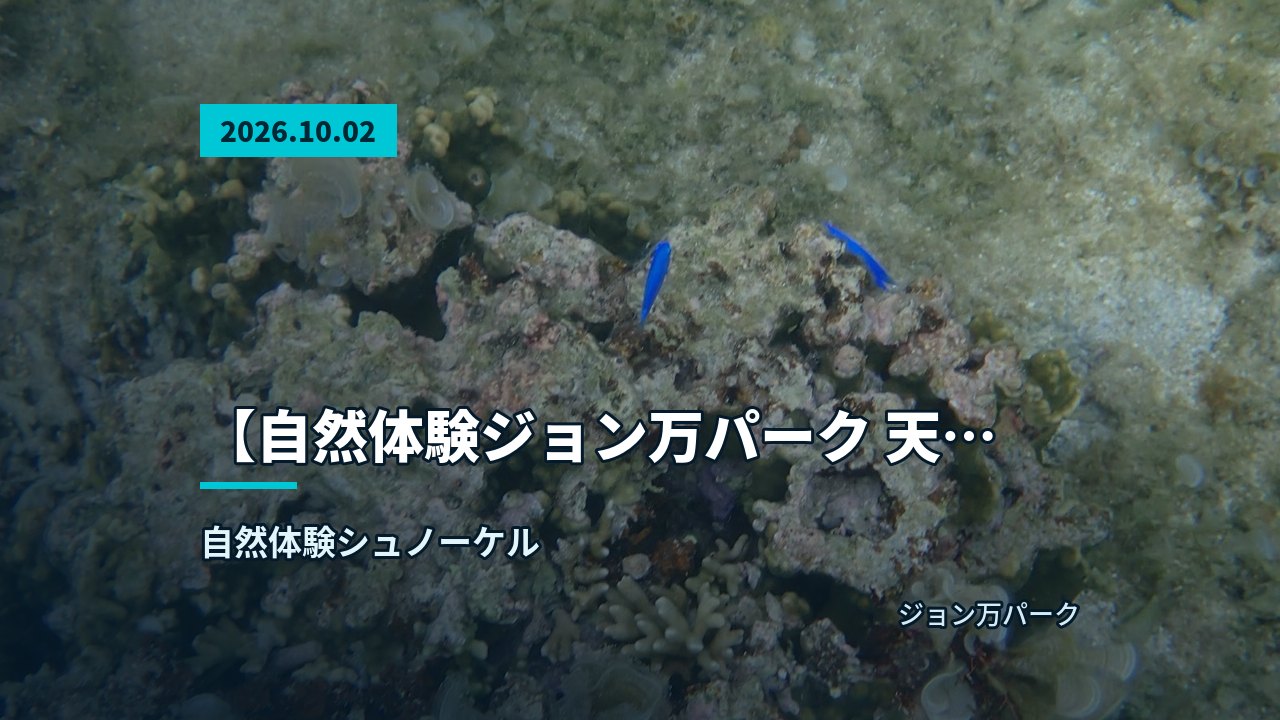 青い空と海を背景に笑顔の参加者