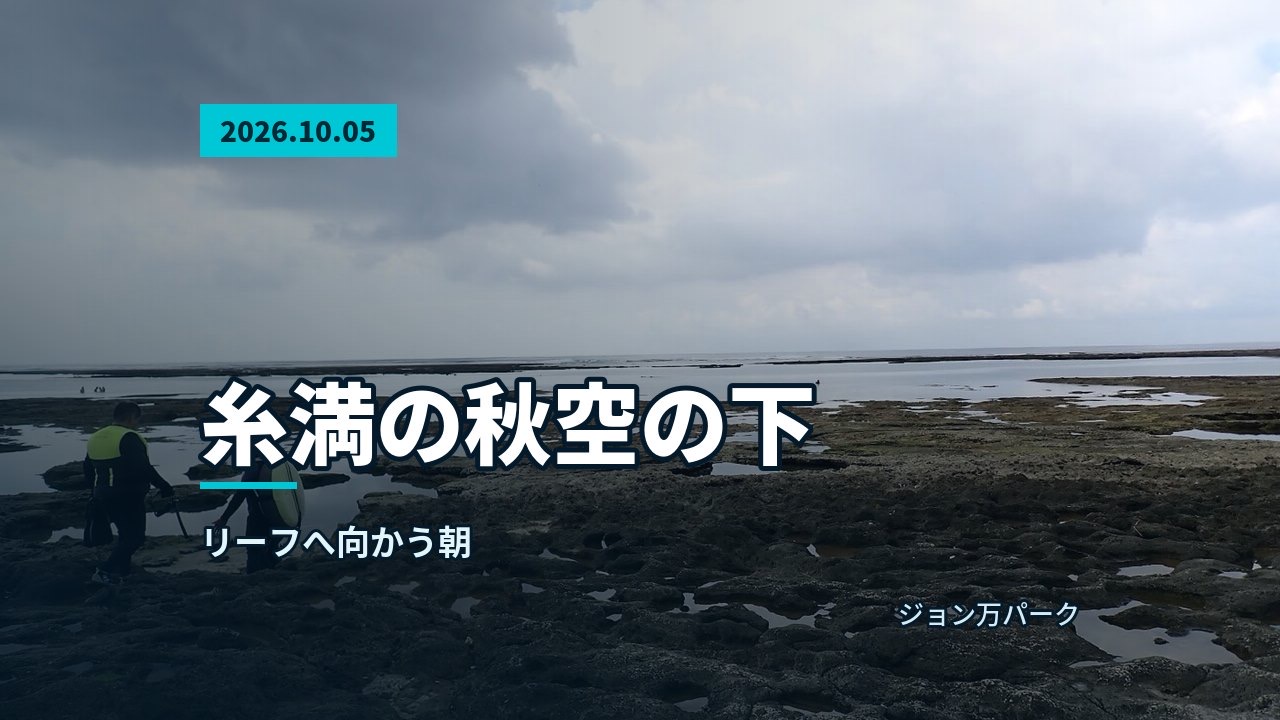リーフで、担当の池田と参加者が歩いて海へ向かう様子