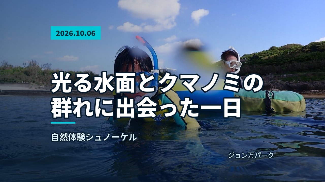 シュノーケルを楽しむガイド池田と参加者