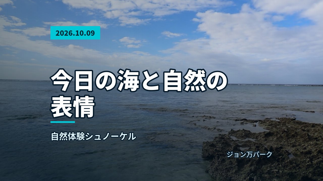 青い空と白い雲、穏やかな海と岩礁が広がる海岸の風景。への入り口のようだ
