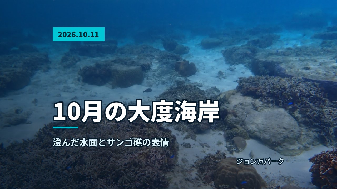 海底に広がるサンゴ礁と砂地、明るい青い海が広がる風景