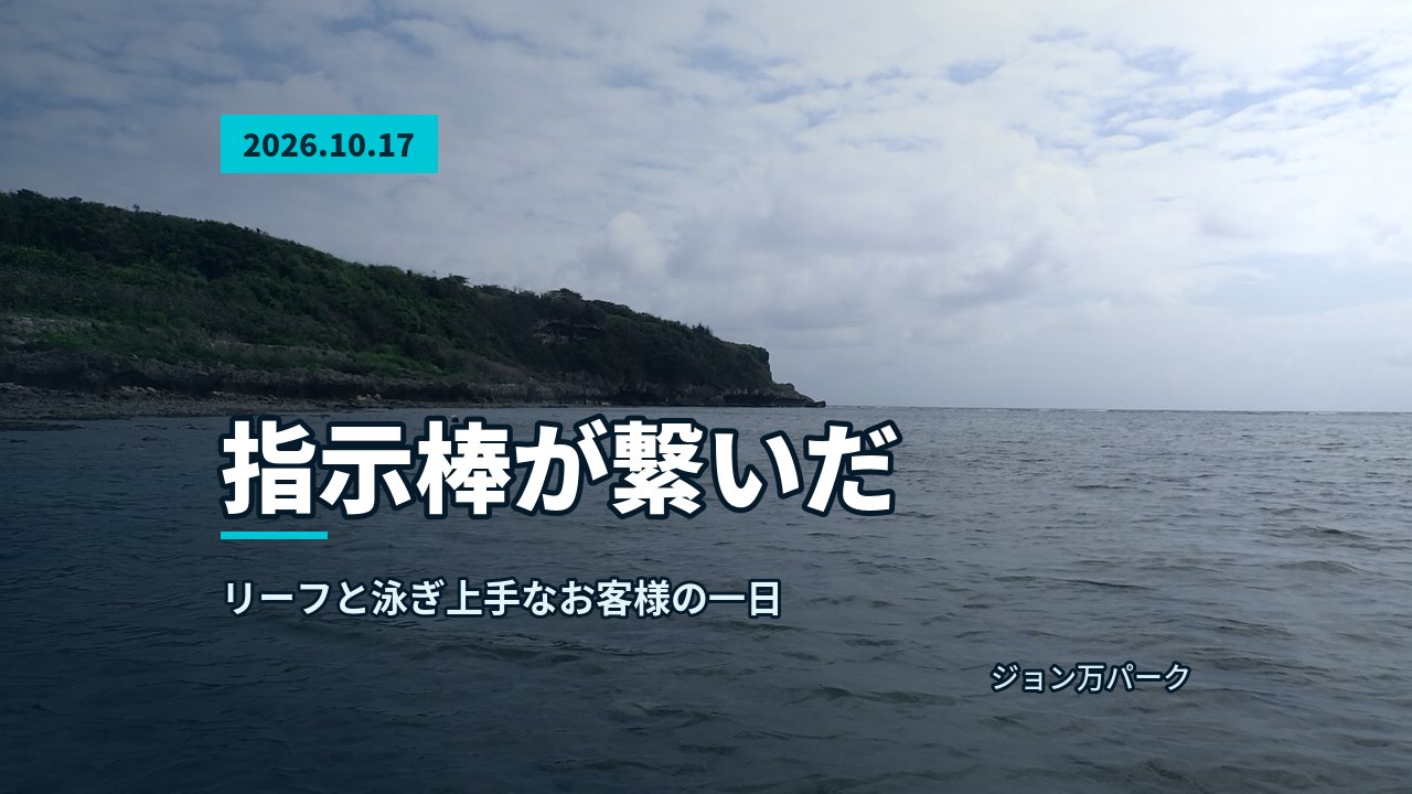 大度海岸の広がる穏やかな海面と、青い空、緑の崖。『』の美しい自然が広がる