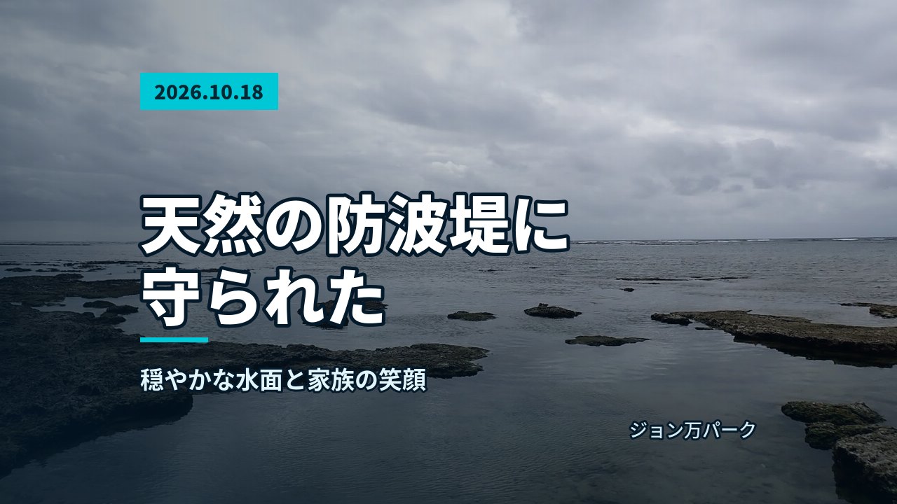 海岸とリーフを歩く参加者と担当の池田のグループ。曇り空の下、広がる海と自然がよく見える